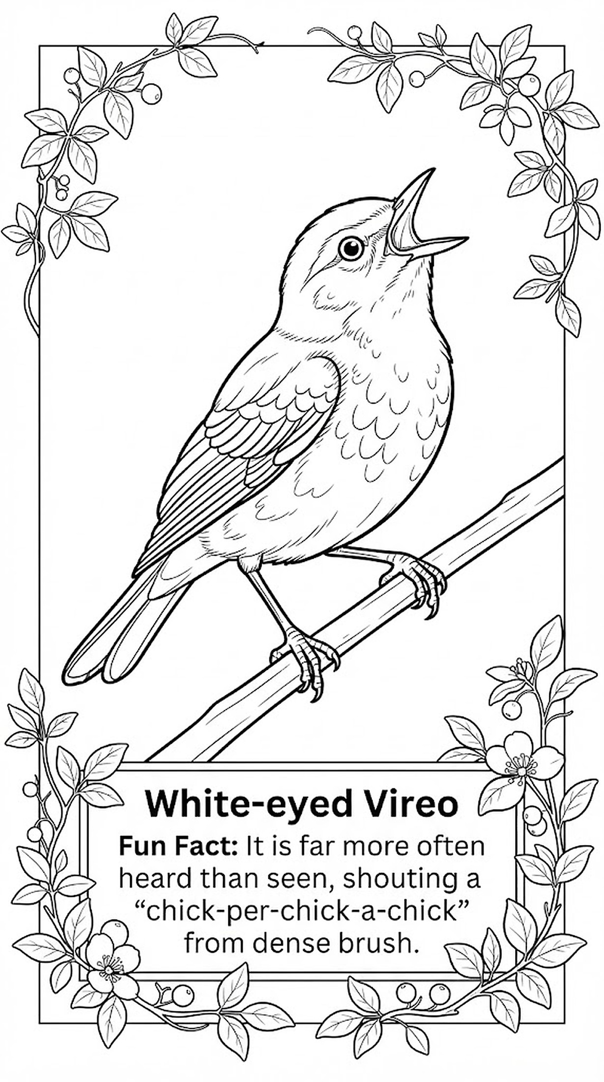 White-eyed Vireo coloring page