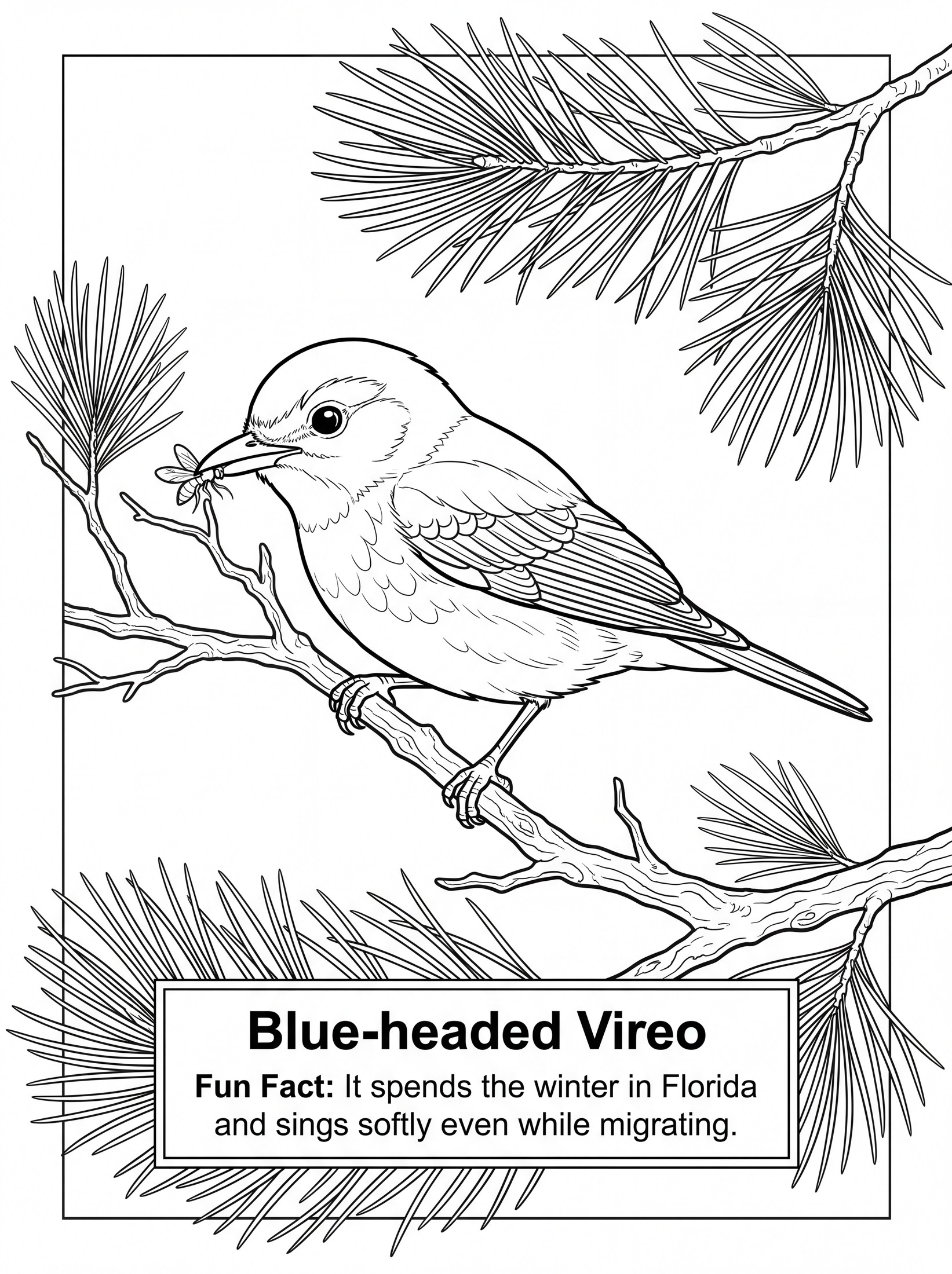 Blue-headed Vireo coloring page