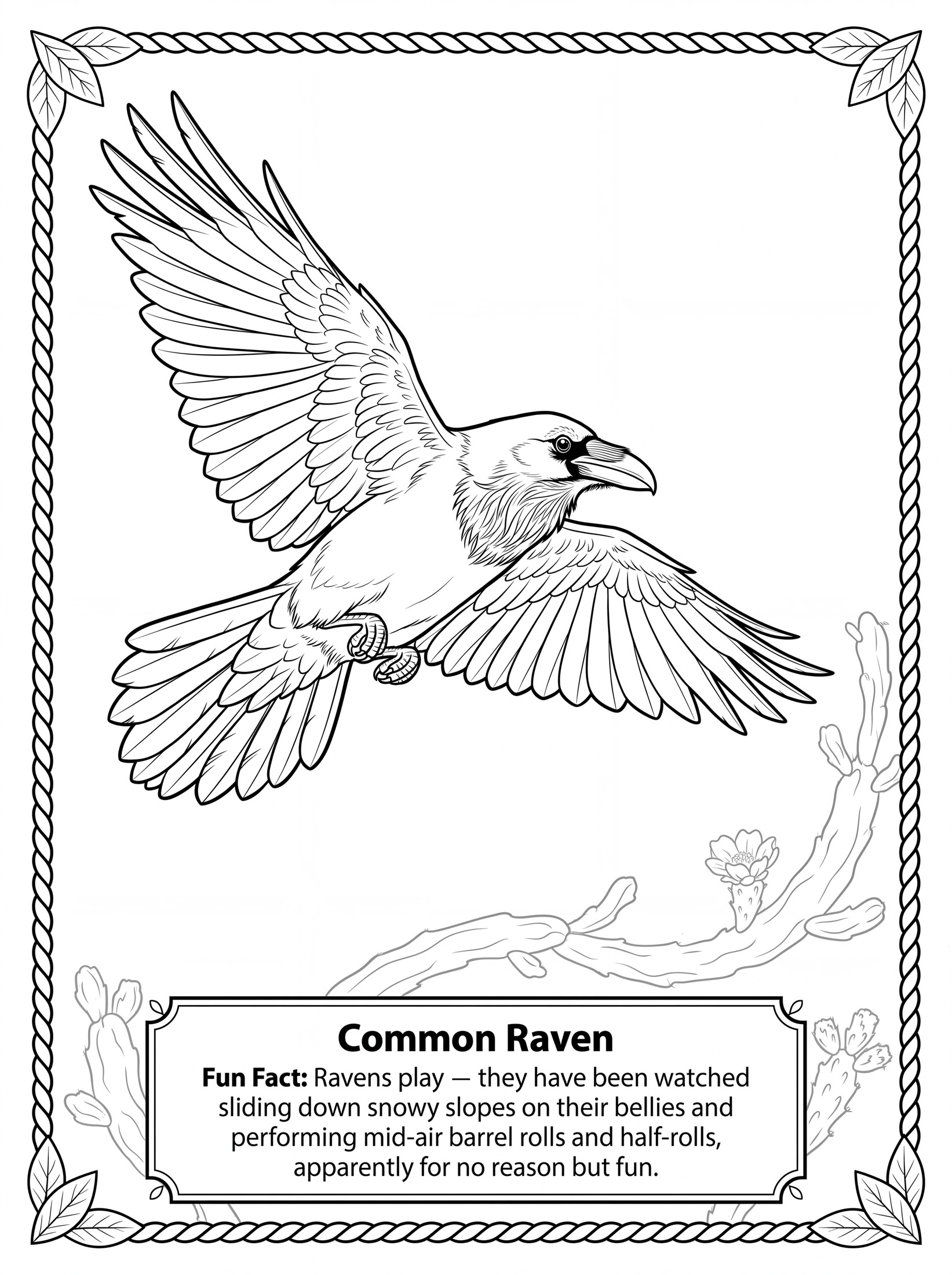 Common Raven coloring page