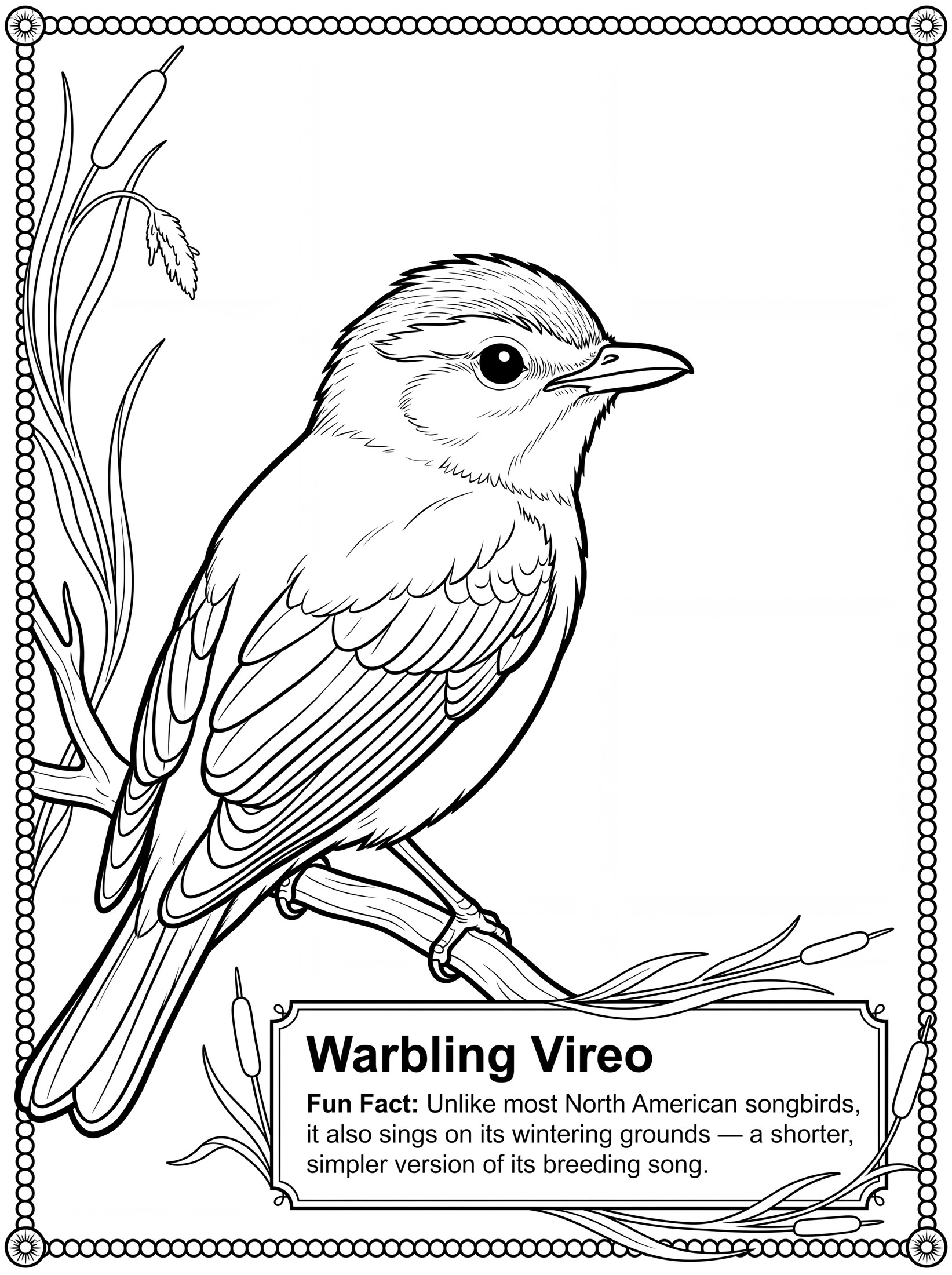 Warbling Vireo coloring page