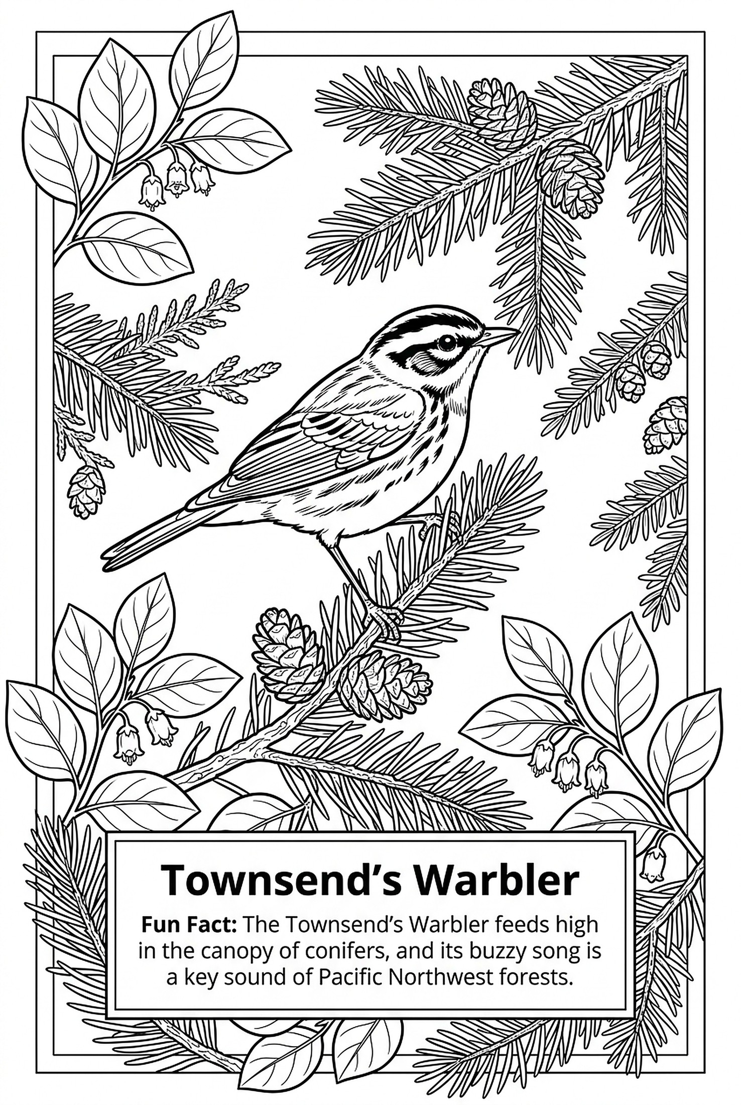 Townsend's Warbler coloring page